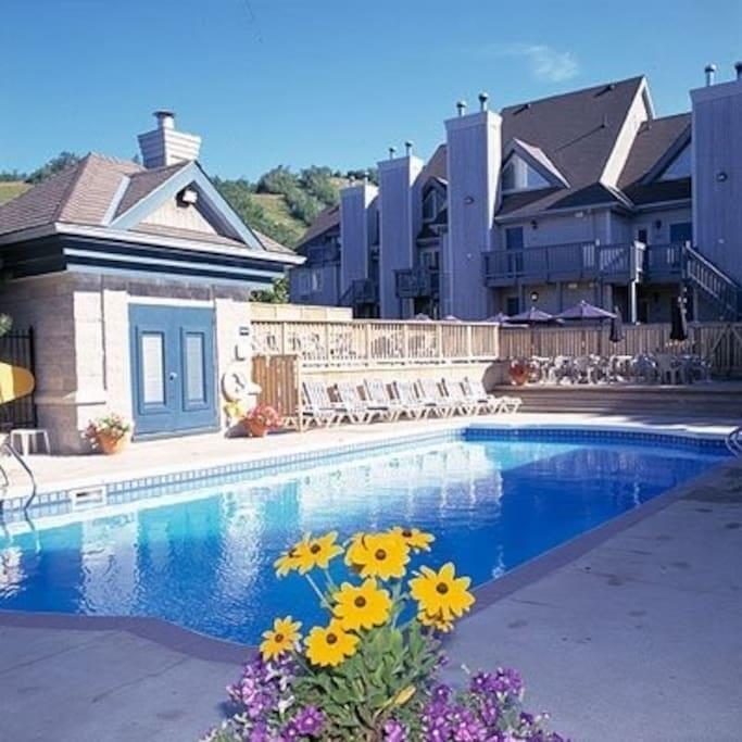 Blue Mountain Suites Blue Mountains Bagian luar foto