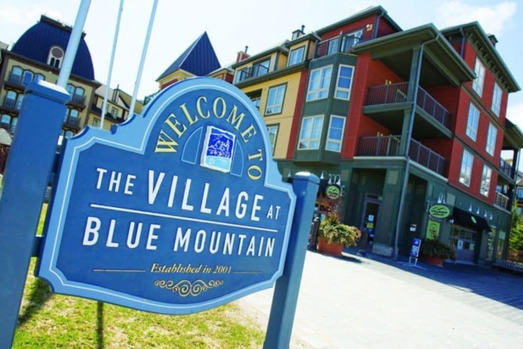 Blue Mountain Suites Blue Mountains Bagian luar foto